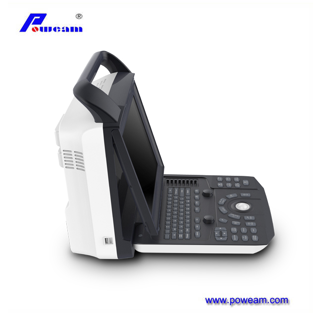2D/3D/4D Portable Color Doppler Ultrasound Scanner