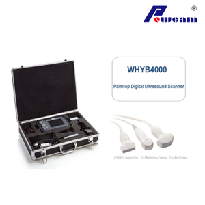 CE Veterinary Digital Portable Palmtop Ultrasound Scanner (WHYB4000)