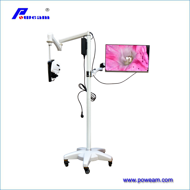 Colposcopy Leep Machine with Camera Price from China manufacturer ...